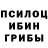 Галлюциногенные грибы мицелий HAVCIK