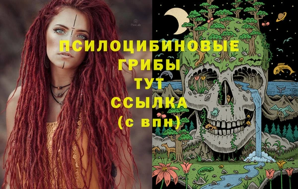 герыч Верея