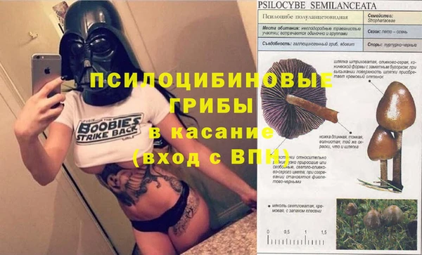 герыч Верея
