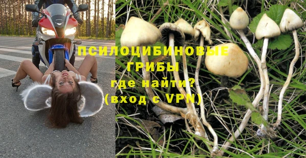 прущая мука Верхний Тагил