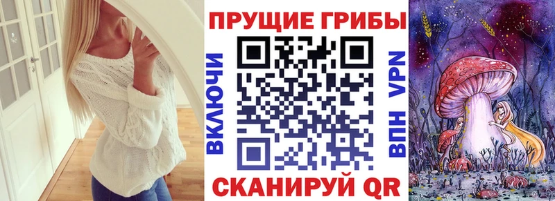 Псилоцибиновые грибы Psilocybine cubensis  купить закладку  Нарткала 